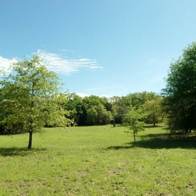 11895 FM 908 Rockdale, Texas 45.37 acres just waiting for you to come enjoy! This tract has it all…new pipe entrance, new fencing, meandering creek with crossing, wildlife, perfect mix of woods, scattered trees & open meadows, trails throughout, and paved road frontage on scenic FM 908. Primarily wooded but easily accessible and navigated – can drive the entire perimeter. Electricity on property, community water line runs along road. Ag exemption already in place.