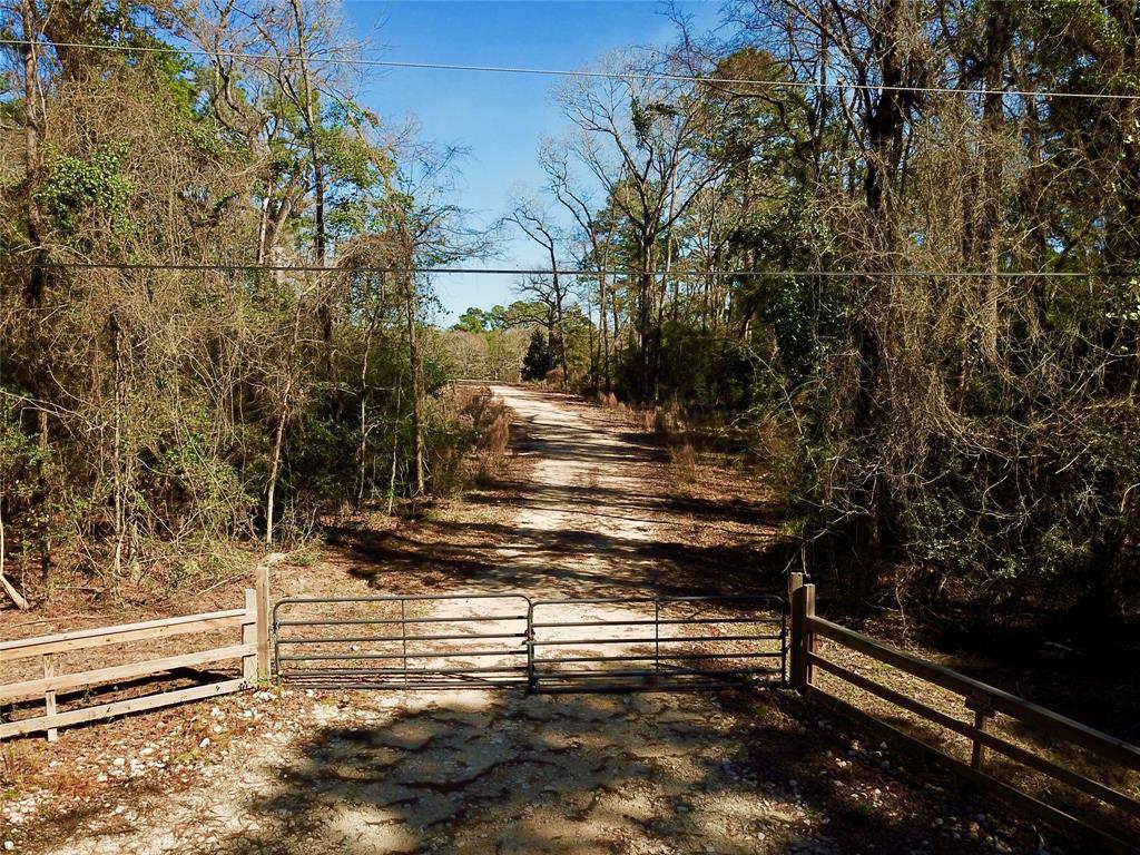 965 Pine Lake Road, Montgomery, Texas 77316, ,Country Homes/acreage,For Sale,Pine Lake,41497980