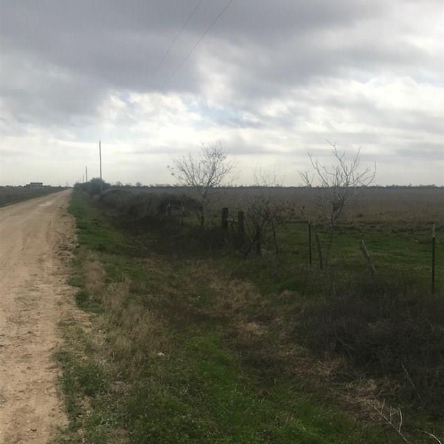 000 Beckendorff Road Sealy, Texas Current cattle pasture. Land is level and out of flood zone. Final acreage determined by survey. Seller to provide access with culvert and gate.