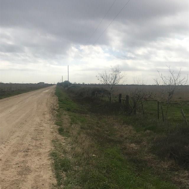 0000 Beckendorff Road Sealy, Texas Current cattle pasture. Land is level and out of flood zone. Final acreage determined by survey. Seller to provide access with culvert and gate. Do not enter, cattle on property