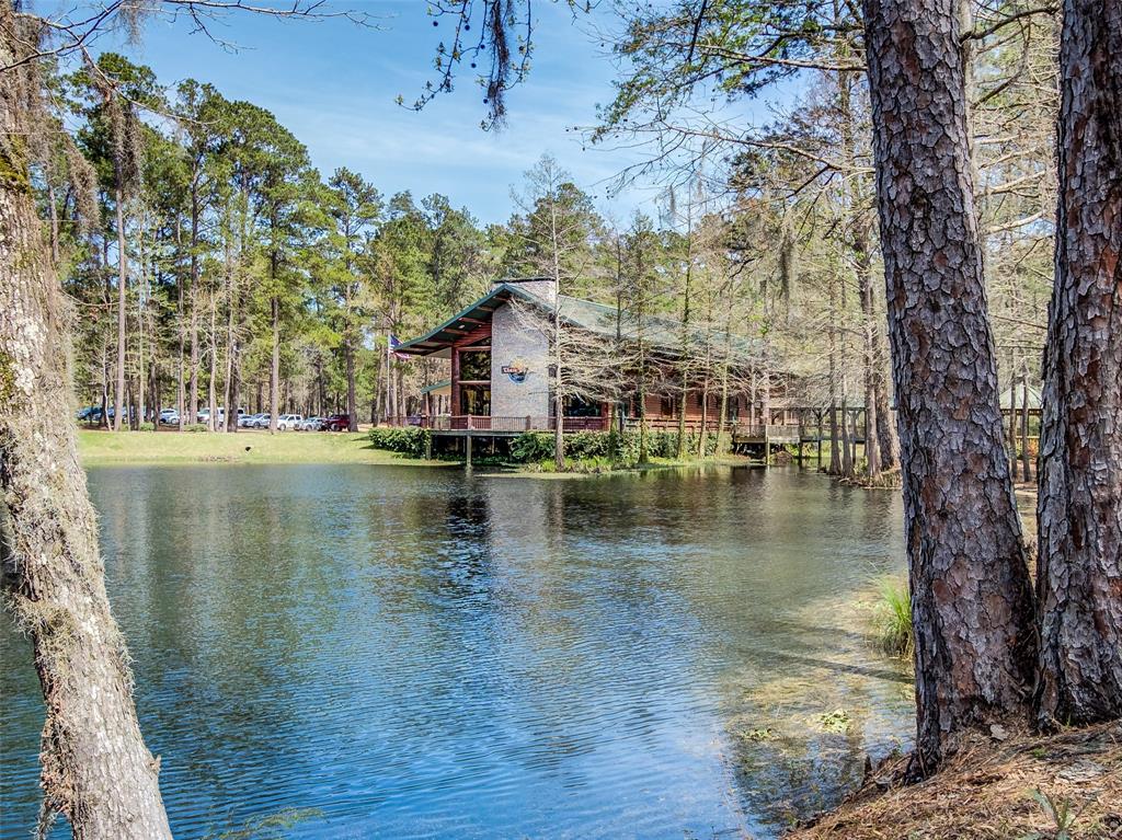 26 Rail Spur, Romayor, TX 77327