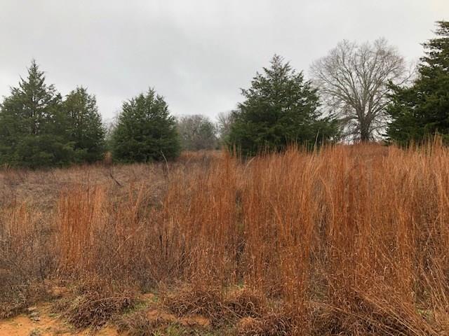 TBD County road 305 Rockdale, Texas This 10 acre tract is partially open with scattered trees and partially fenced. Electricity is near property and co-op water line runs along CR 305. There is no HOA and no fees.