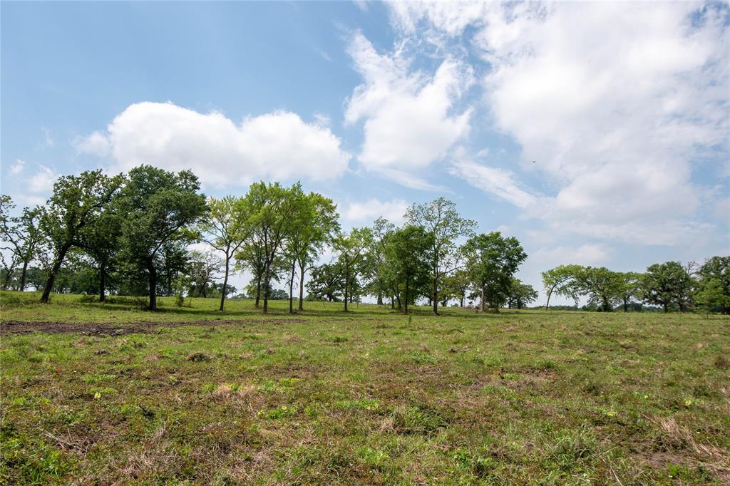 33017 Waller Gladish Road, Waller, Texas 77484, ,Country Homes/acreage,For Sale,Waller Gladish,45702782