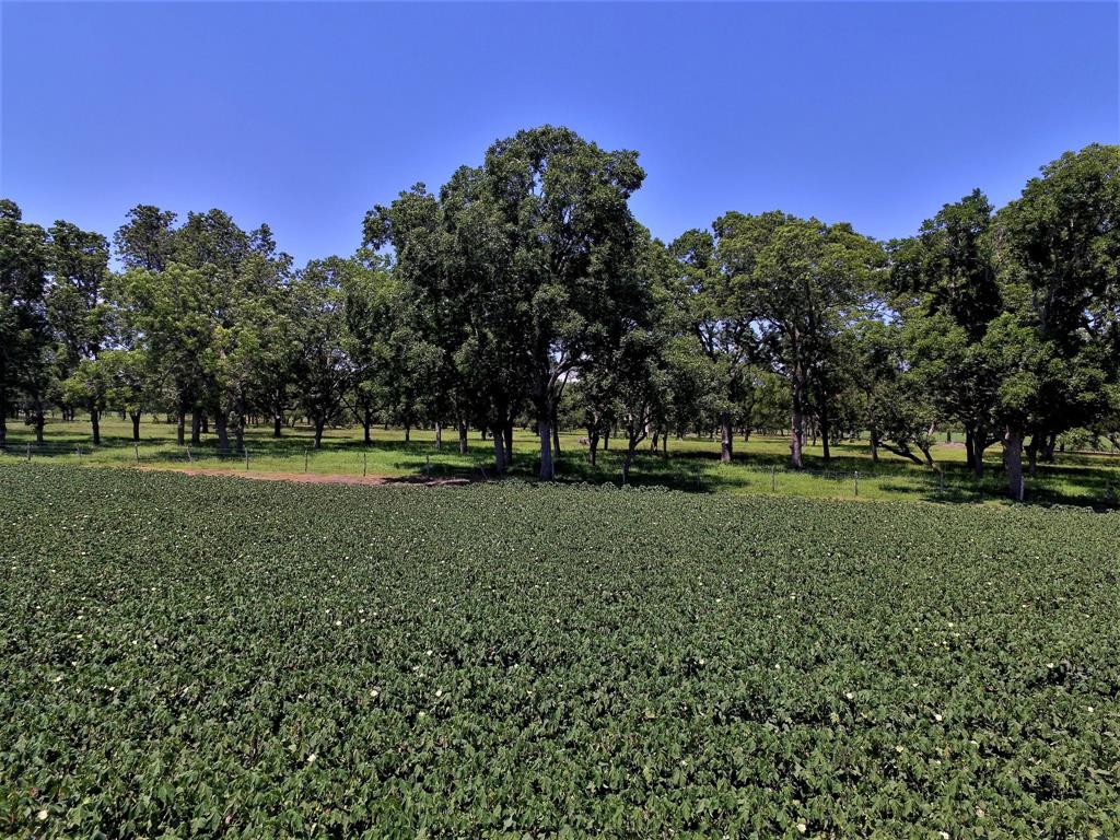 000 County Road 464 Wharton, Texas A little mix of mature woods and some open land comes together to make your dream quiet country oasis!! Come take a look at this 58 acres close to the Crescent fairgrounds. Property is located off a quiet dead end road off of FM 961. Property is a rectangular shape having over 2,000 feet of county road frontage. There is approximately 30 acres of row crop land and 28 acres of fenced woods/pasture. Property is currently being leased for farming and grazing on a year to year basis.
