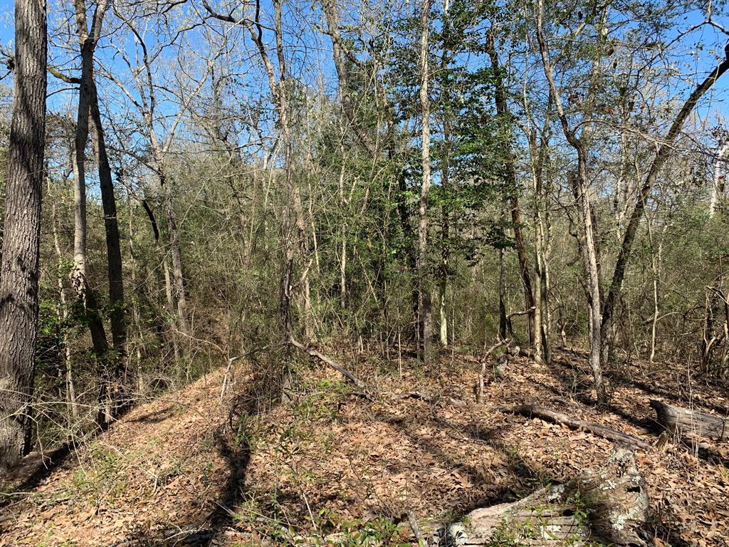 8851 CR 310 Buffalo, Texas 15.93 wooded acres with giant red oak, hickory, and hardwood trees. A live year round creek traverses the property, which begins at the dead end of CR 310. Included is a 900 sq. ft. barndominium with deck and playroom/storage area. Home is one bedroom and one bath and has a nice kitchen and living room. Also on the property are 2 cabins with approximately 864 sq. ft. each (per LCAD). This property has three septic systems and 2 community water meters. Land is mostly fenced.