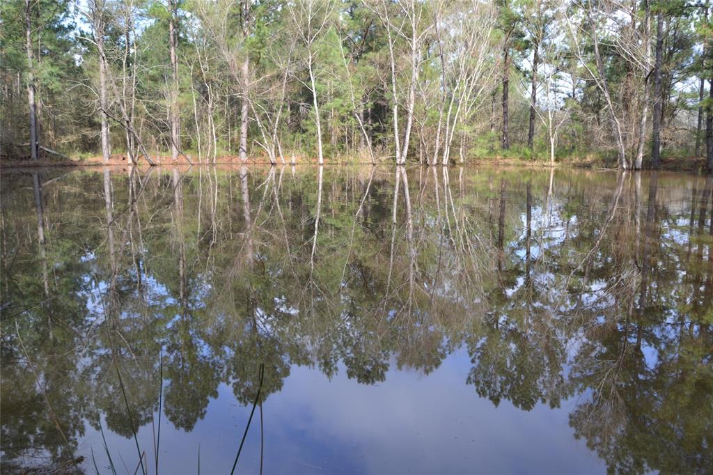 TBD FM 229 Crockett, Texas 614.037 ACRES!
This beautiful wooded tract is located on FM 229, only minutes from Crockett! It offers one of the highest elevation points in Houston County – 453’! There is a nice mix of hardwood and pine, lots of rolling terrain, good roads, several creeks, and numerous ponds are scattered throughout the property. This property offers an excellent wildlife habitat. The timber has been professionally managed for many years. You will not find another property like this one in Houston or surrounding counties – don’t miss your opportunity to own this wonderful tract! This property must be seen to be truly appreciated! Call us today for more details.
