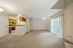 10615 Briar Forest Drive #12
