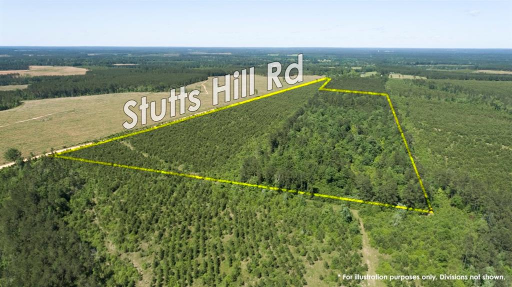 Stutts Hill Rd Livingston, Texas Tract 6. Highland Hills offers 1.7 to 10+ acre tracts suitable for homesite, investment, or recreation! Four small tracts (1.7 to 1.9 acres) and four 10 acre tracts available in a first time open market offering. Wooded in a mix of young pine easily converted to pasture with mature pine trees on the South side of the 10 acre tracts. Easy drive into Livingston or to the 59 corridor. Ready to shape to your desire!