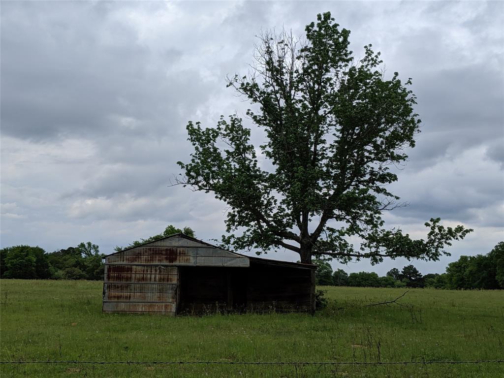 00 County Road 2265 Grapeland, Texas 163.54 acres of productive hay fields and mature trees - thick pine stands and hardwoods. Mix is about 50/50 trees and pasture. Two spring fed, tree shaded ponds provide water for animals and fishing enjoyment. A Creek meanders onto the land on the east side and also at or near the Northwest boundary of the property. Good wildlife hunting reported by owner with both deer and hogs. Property completely fenced. Several building sites. Approximately 3/10 miles of frontage on each of the two County Roads. Directly across from this tract, an additional 8.141 acres available on CR 2265.