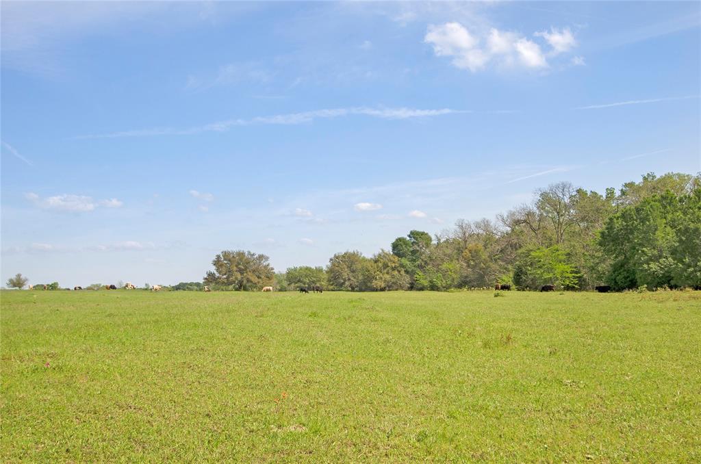 Tract 2 FM 2621 Brenham, Texas Beautiful property with rolling elevations just waiting for your country home! Approximately 21.579 acres with Kuykendall Creek running along the rear boundary line. Ag exemption is in place. Conveniently located with easy access to both Brenham and College Station.
**Other tracts available**
