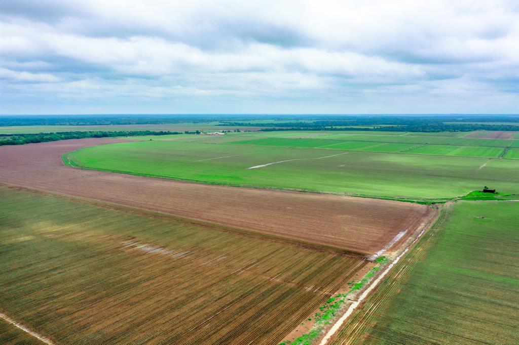 TBD E FM 50 Somerville, Texas Farmland tract along the Brazos Bottom near FM 50 and CR 442 in the Wilcox area. This 103.63 acre tract's highest and best use is for farmland or grass farm production. The land is open and shaped for proper drainage to maximize the production output and approximately 100 acres is planted. This income producing farmland is presently leased.