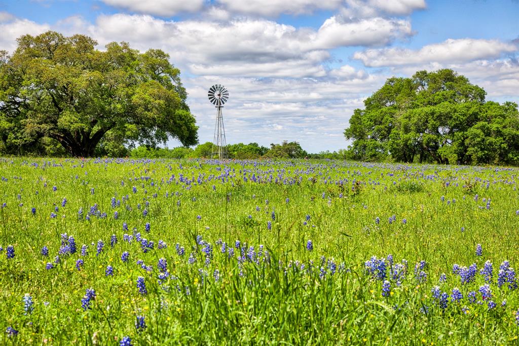 2200 Dannheim Road Brenham, Texas Heavenly Hills Ranch is one of a kind manicured 315 +/- acre ranch just North of Brenham with access from Dannheim Rd or a private lane off of Hwy 36N. Currently used as a working cattle ranch with 8 great ponds. The unique barn has a Modern Rustic Upstairs Living/Guest Quarters with balconies of endless majestic views. The highest elevation is over 361 ft which creates wonderful views of the beautiful rolling hills. Well maintained cross fences with a mixture of mature oak trees, native and improved pastures for animals to enjoy. The natural seasonal creek with concrete crossing and miles of all-weather road makes it easy to travel the ranch. This ranch is one of the last true gems of all the great things the rolling hills of Washington County has to offer and just minutes from Somerville Lake. Here is the perfect place own a working livestock ranch or enjoy fishing one of the many ponds or lakes, enjoying watching whitetail deer, this is the perfect place for this and so much more.