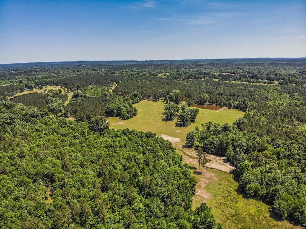 132 County Road 168, Long Branch, TX 75669