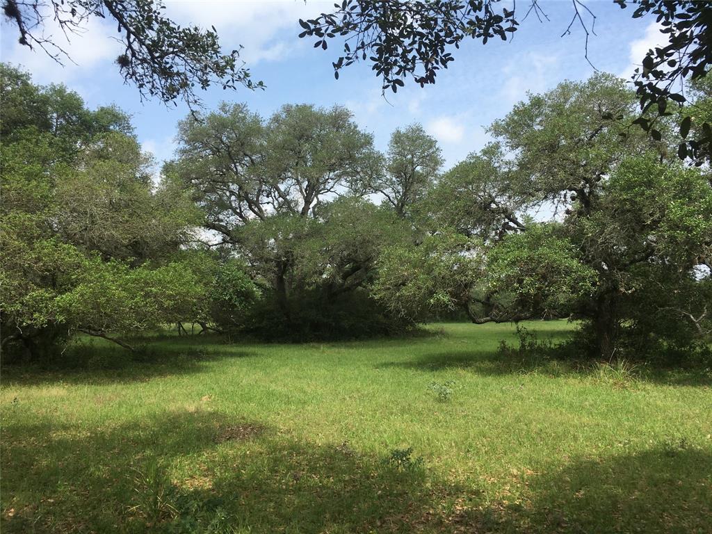 7-1 Jessica's Way Altair, Texas NOT in the Flood Plain! Did not Flood.
Beautiful mushrooms for your fairy garden await. Across these 7 acres are scattered hither, there and yon are the bouquets of live oak trees. Peaceful country life starts here surrounded by nature, which is acting as a privacy screen, all around the parcels located along private road, "Jessica's Way" entrance. The perimeter is partially fenced. The land holds a current agricultural valuation. This is the small tract that you have been looking for. Only 5 minutes away from gas and a gallon of milk;-) The land is on the south side of private road, "Jessica Drive", (pending completion). Tax ID 31019
