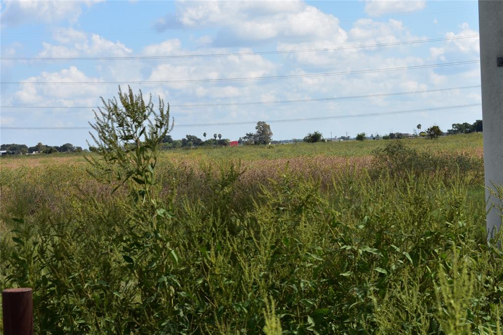 00 CountyRoad 409 Danevang, Texas 10.1 acres. There is NOT a pond on this tract. Former pasture land. Survey in attachments..Seller to include new well and will fence. Only 75 miles from Houston.