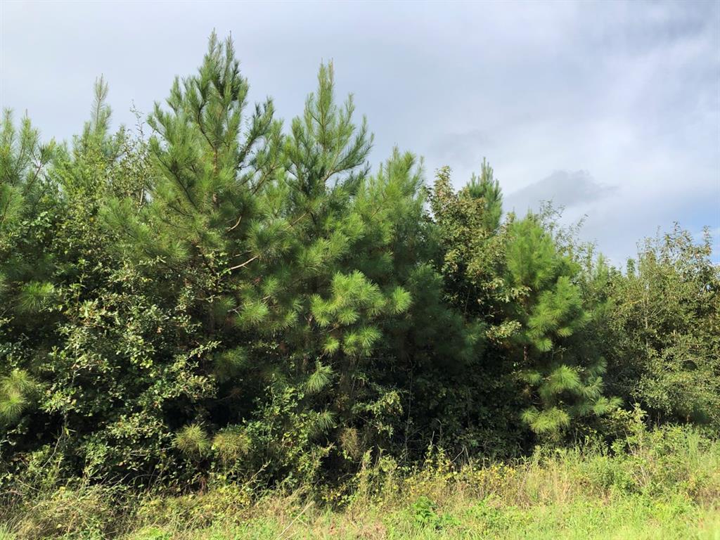 0000 Fm 787 Cleveland, Texas 26 acres with big frontage on FM 787. All wooded in varying pine plantation (stand map included herein). Electricity available along road. Good location, west of Rye, Texas. No floodplain per maps. In close proximity to Artesian Lakes and the Trinity River. Wildlife, timber, good soils, good air, good shape for usability, good deal !
The subject property rear portion (~ 2/3), 2001 pine plantation, is subject to a “2nd thinning” (~ 6-1-20 to 6-1-21). Thinnings are managerial in nature for the health and future production of pine plantations. This 2nd thinning will improve the existing pine stand and open up the understory. Both of which will assist in creating a higher future value for a final log harvest or select tree harvest. Harvest can be assigned or cancelled upon a sale depending on timing.