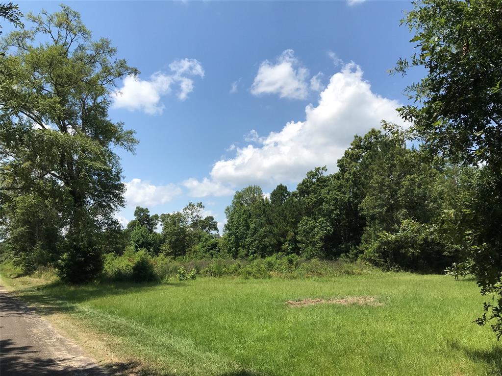 TBD County Rod 2134 Cleveland, Texas Heavily wooded 10.643 acres, about 45 minutes from Houston. 763 ft frontage per survey.