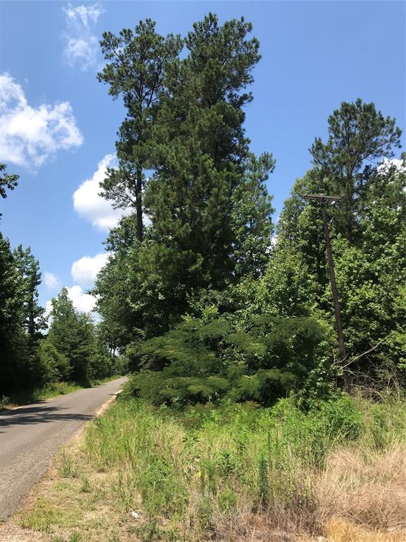 TBD C R 2148 Cleveland, Texas 10.1 ac, heavily wooded tract in Liberty County. Northeast corner FM 787 and CR 2148. Survey available. about 45 mins from Houston
