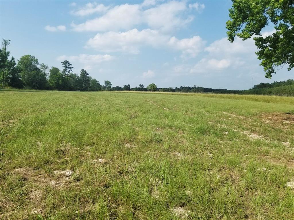 FM 355 Groveton, Texas Small acreage close to town!!! Come and tour this prime 14+/- acres of pristine pastureland, with over 2,500 feet of FM 355 road frontage, the possibilities are endless. This tract is currently maintained for hay production.