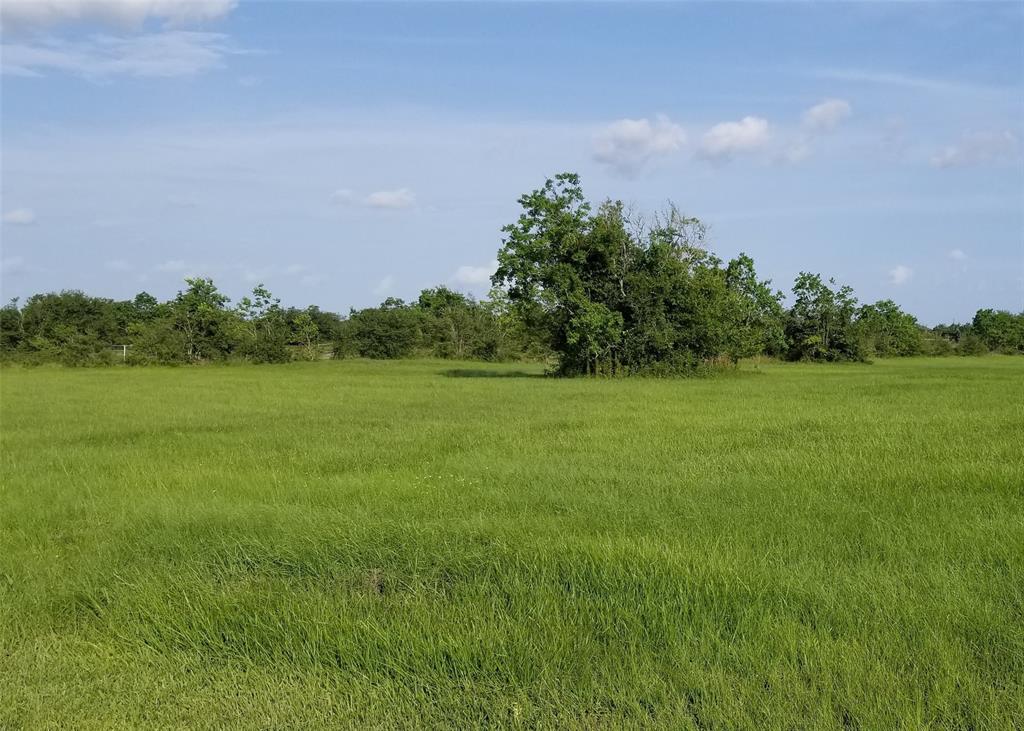 0 Patterson Road, Manvel, Texas 77578, ,Country Homes/acreage,For Sale,Patterson,62397704