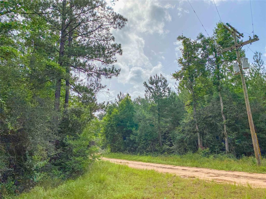 00000 FM 943, Livingston, TX 77351