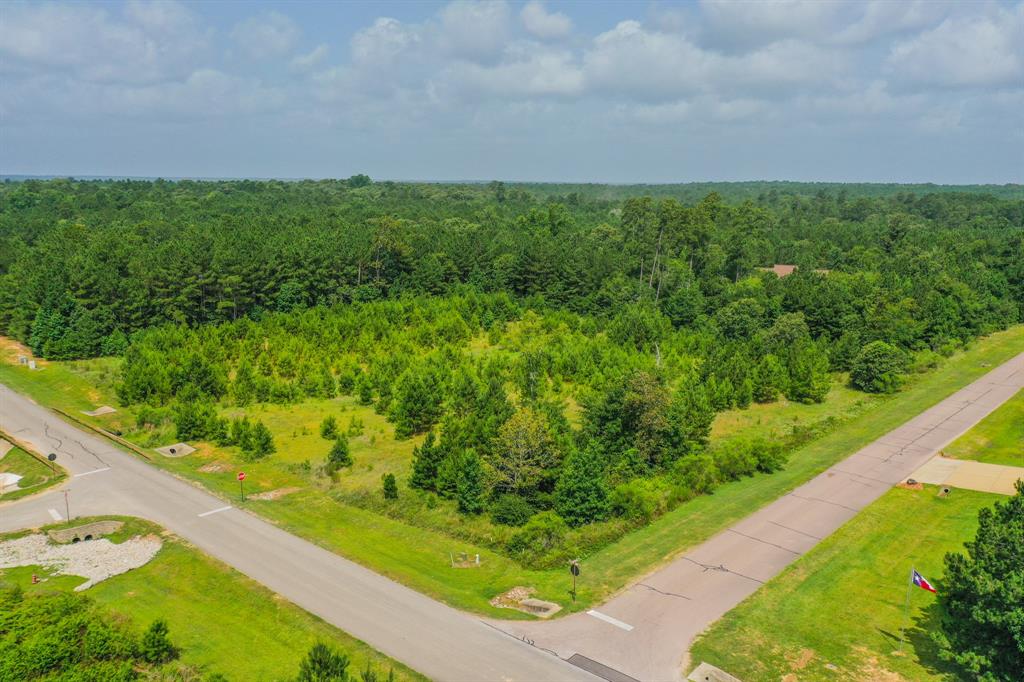 26226 Crown Ranch Boulevard, Montgomery, Texas 77316, ,Lots,For Sale,Crown Ranch,20707582