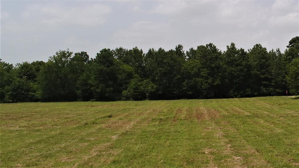 TBD W Fm 1280 Lovelady, Texas BEAUTIFUL HOMESITES!
This property is located on FM 1280 west, 1.8 miles from Lovelady. It is in the highly desirable Lovelady ISD and offers 5.4 acres of pretty pastureland with scattered trees and several home-sites. Water and electricity are available at the road. This property will not last long, so call us today to schedule a showing!