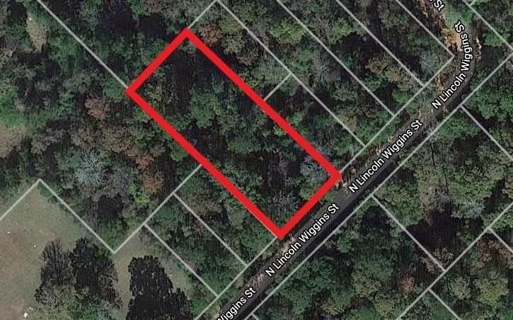 00 N Lincoln Wiggins Street Livingston Texas 77351, 44
