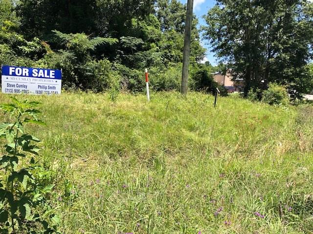Prime Corner in the heart of Onalaska, adjacent to Brookshire Brothers.  Two other lots available: 1.3 Acres directly across Hwy 190 for $766,000 and 1.9 Acres just east at the Northwest Corner of Hwy 190 and FM 356 for $1.5 mil.