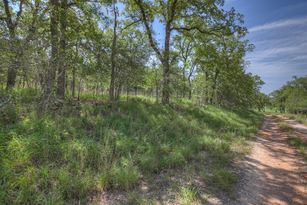 1221 Shawnee Lane Kingsbury, Texas Approximately 20.78 acres located 10 miles southeast of the small community, Kingsbury. The land includes a slope which provides a beautiful view and a dry creek. There is one small shed (about 10x24) on the property, a water well, and 2 GVEC electric meters. The property fronts Dix Road on one side and has a private road access on the backside. Secluded, wooded property with few neighbors. It is about 10 miles to Luling and 20 miles to Seguin. The 130 Tollway allows quick access to your property from Austin. BRING ALL OFFERS