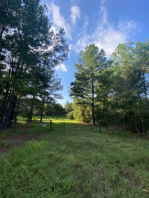 12145 CR 4025 Lovelady, Texas Looking for a place to get out and relax, have a weekend place, your own deer hunting property, here is your chance. 33.533 acres located in Lovelady, only an hour and a half from Houston. This property is wooded, with young pine and beautiful hard wood trees along the dry creek. Good internal trails and road system to get from front to back. There is an 18x10 shed with metal roof that will stay with property,