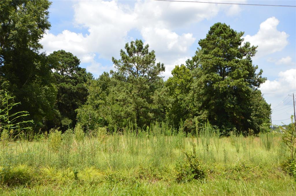 18286 Hwy 59, New Caney, Texas 77357, ,Lots,For Sale,Hwy 59,42831844
