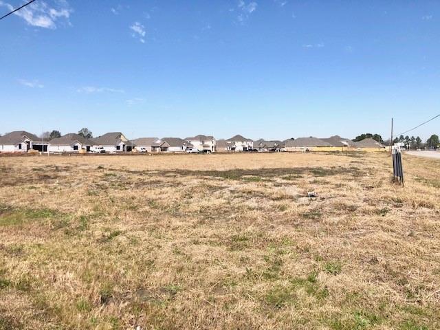 0 LEWIS Lane, Manvel, Texas 77578, ,Lots,For Sale,LEWIS,15795761