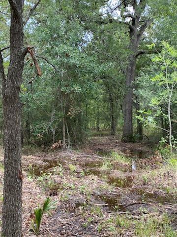 00 Fm 102 Eagle Lake, Texas Accompany your clients to All visits to the property!