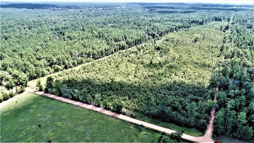 TBD CR 1055/CR 1060 Kennard, Texas RECREATIONAL RETREAT!
Do not let this hunting and recreational tract get away! Located in beautiful East Texas, in the eastern part of Houston County, this property offers great hunting opportunities and a peaceful setting. The area is known for large whitetail deer, as well as, assorted other wildlife. The heavily wooded tract with two ponds creates a natural habitat for wildlife. There is an internal trail system that creates easy access throughout the property. It is campsite ready with electricity already in place. The property has good road frontage on county-maintained roads: CR 1060 and CR 1055. Community water is available along CR 1060 (buyer would need to check with Consolidated Water Supply for pricing). Make your appointment today and be ready for whitetail season 2020!