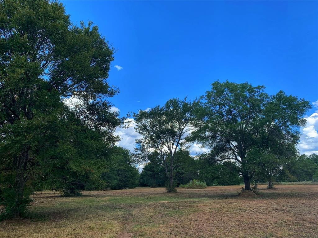 0000 CR 416 Leona, Texas What a great location! 14.26 acres of pasture land with scattered hardwood trees located in Leona on FM 977 and CR 416. Entire perimeter is fenced and there is one cross fence dividing into two pastures. There is electricity and water on the property now. This would be a great place to build a home. Short drive into Centerville for CISD schools. Be in The Woodlands in an hour! Contact me with any questions or for more information.