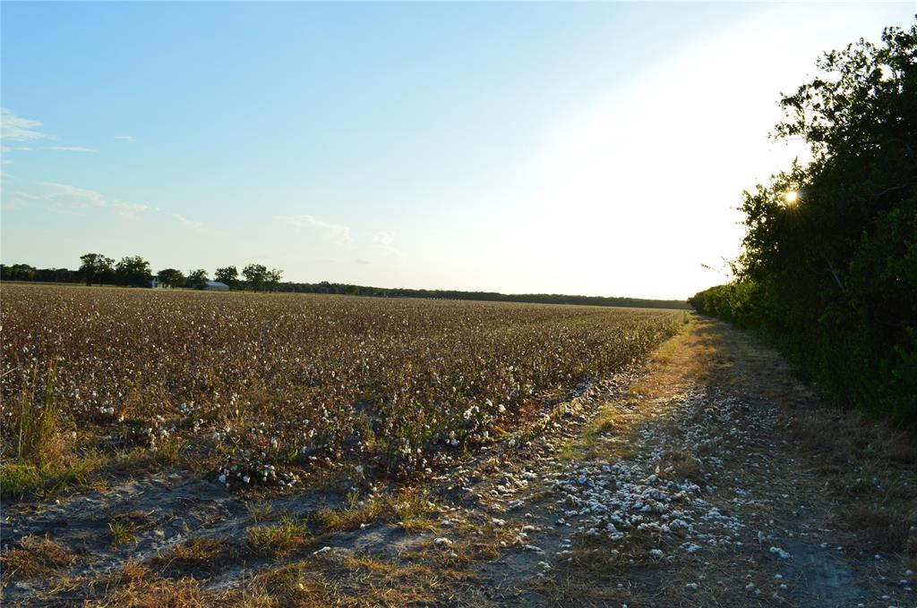 FM 1160 Road Louise, Texas Property is in a great location in the much desired Western Wharton County. Part of the 30.35 acres is in row crop, while the rest is in timber. Hunting blind and feeder shown in pictures will remain with the property. The western border of the property is located in "Zone A" flood zone (see map in pictures). The row crop is currently being leased. N0 mobile homes allowed.