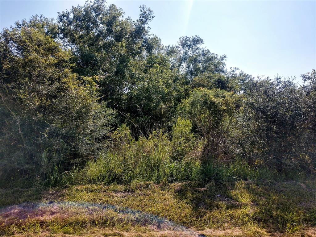 0000 Fm 1941 Road Anahuac, Texas Here's the unicorn you've been looking for! Approximately 2.58 acres in Chambers County with approximately 232 feet of Road Frontage. Property is brushed on the front and opens to clearing in the middle of the property. Has light restrictions that include No Mobile Homes. Convenient to I-10 East yet far from the hustle and bustle of city life. Strategically located between Houston and Beaumont and driving distance to Trinity Bay and Galveston.