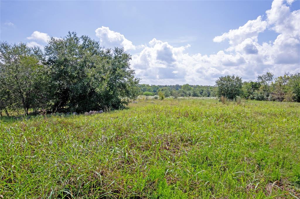00 Palestine Road Brenham, Texas Approx. ±28 acres being subdivided out of ±52.328 acres. A very nice private tract with a good blend of wooded area and pasture off of Palestine Rd. 0.8 miles from FM 390, 12 miles from Brenham, 35 miles from College Station, and 72 miles from Houston. Property is waiting for your dream home or Barndominium. Lightly restricted. Ag exemption in place.