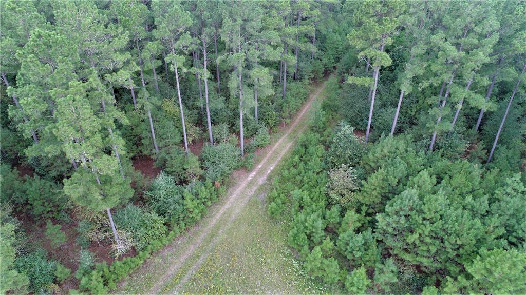 TBD CR 3540 Lovelady, Texas PERFECT HUNTING TRACT!
This 97.54 acres located just off FM 230 on CR 3540 (Searcy Lane) is the perfect spot! The property is wooded with natural pine and some planted pine with a mixture of hardwood. There are some nice trails and a pretty pond. This property would be idea for a weekend get-a-way or even full time living with consolidated water at road and electricity available. This location is a quiet and peaceful area with lots of wildlife, and close enough to town for all the resources you would need. Property wraps around Antioch Church and has an easement off FM 230. For a private showing, call us today!
