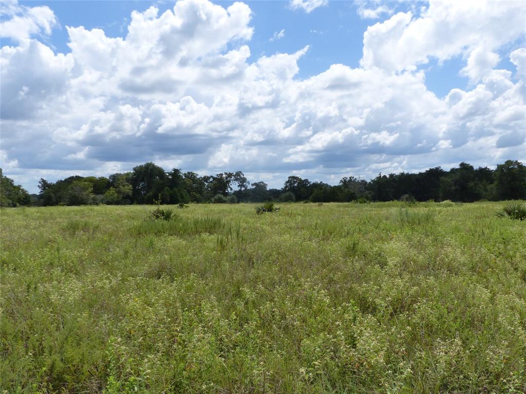 5974 Fm 949 Road Sealy, Texas Build your dream home on this beautiful 40.8975 acre tract near Bellville! The property features big oak trees and abundant wildlife. There is a 3 bedroom home, but it needs much work to make it habitable. There is a septic tank and a well, as well as a couple of old barns.
The adjoining 39.9 acres is available as well, MLS# 10626580.