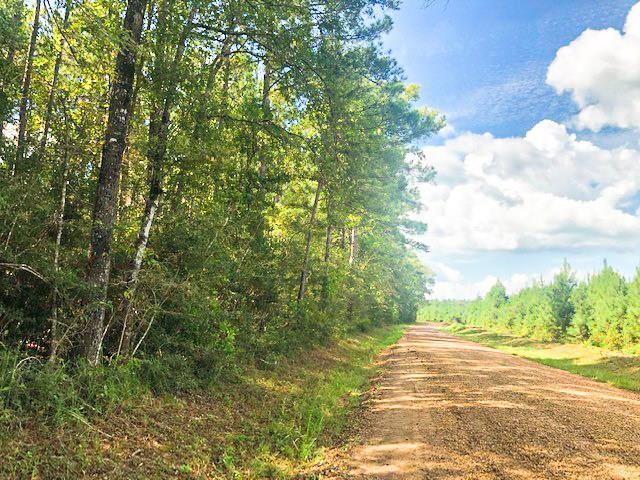 Menard Chapel Rd Livingston, Texas 1st time open market offering! Rural yet easily accessible near FM 943 fronting Menard Chapel Rd. (a county maintained paved and rock/gravel road). Wooded in pine plantation and big hardwoods. Low traffic road. Easy window to US 59 and the Houston metroplex/airport. Escape the city. Life’s too short!
*6 lots available