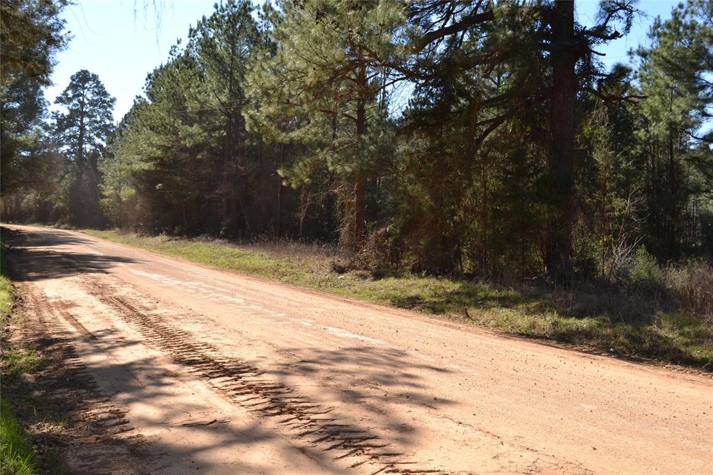 TBD CR 1190 Grapeland, Texas WOODED TRACT!
Come see this nice wooded tract less than one mile off State Highway 21 East in the Weches community. This 8.54-acre tract would be a good building site with electricity and water available at the road. Call us today to schedule a private showing.