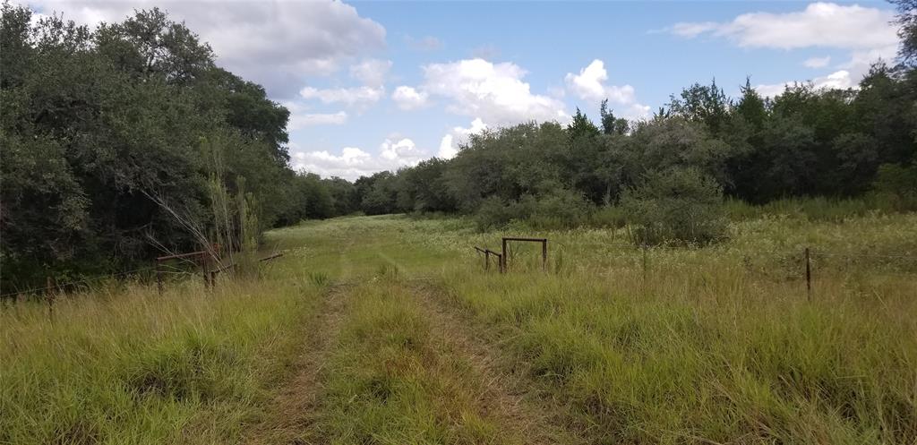 7769 FM 530 Hallettsville, Texas 119.353 secluded acres less than 9 miles South of Hallettsville in Lavaca County. This property has scattered trees such as post oaks, live oaks, juniper and lots of heavy brush throughout; providing a perfect habitat for the wildlife that is plentiful in the county. The property sports a sandy bottom, wet weather creek and native grasses. There is also a cleared area on the property perfect for a hunter’s cabin. Or, build your dream home and enjoy the privacy that is afforded by the trees and heavy brush. The property is ag-exempt and is currently being utilized for cattle grazing. If you are looking for a weekend getaway, this property is less than a 2-hour drive from Houston, San Antonio and Austin with easy access to Hwy 90A and US Hwy 77. Some minerals will convey with an acceptable offer. Come see the possibilities!