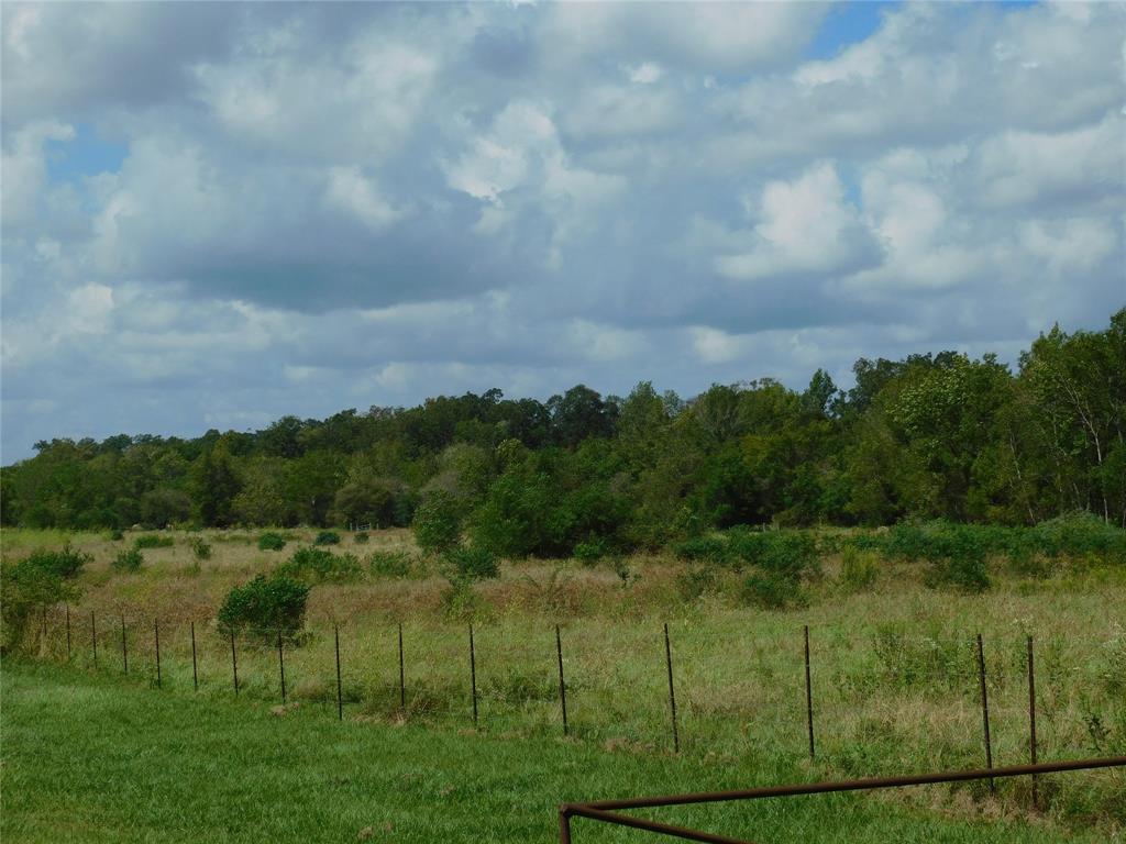 000 Fm 1011 Hardin, Texas Look no more a Beautiful piece of property to build your dream home, or have a weekend retreat!
Gorgeous countryside with teaming wildlife on the property, Nature at its best on this peaceful place.
Property is believed to be fully fenced, has been leased for cattle use. Lease to expire December 2020.
Located in Hardin ISD.