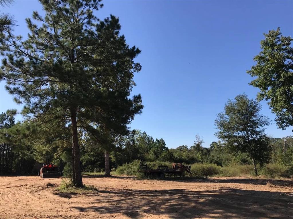 15861 Fm Hwy 1484, Conroe, Texas 77302, ,2 BathroomsBathrooms,Country Homes/acreage,For Sale,Fm Hwy 1484,56830941