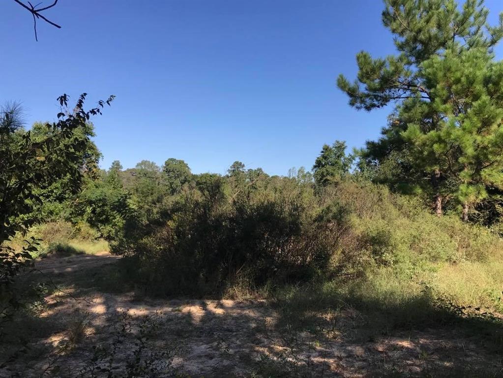 15861 Fm Hwy 1484, Conroe, Texas 77302, ,2 BathroomsBathrooms,Country Homes/acreage,For Sale,Fm Hwy 1484,56830941