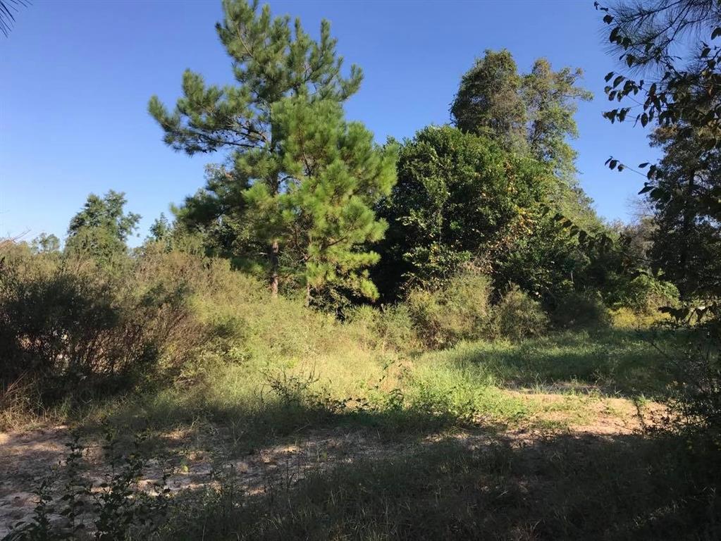 15861 Fm Hwy 1484, Conroe, Texas 77302, ,2 BathroomsBathrooms,Country Homes/acreage,For Sale,Fm Hwy 1484,56830941