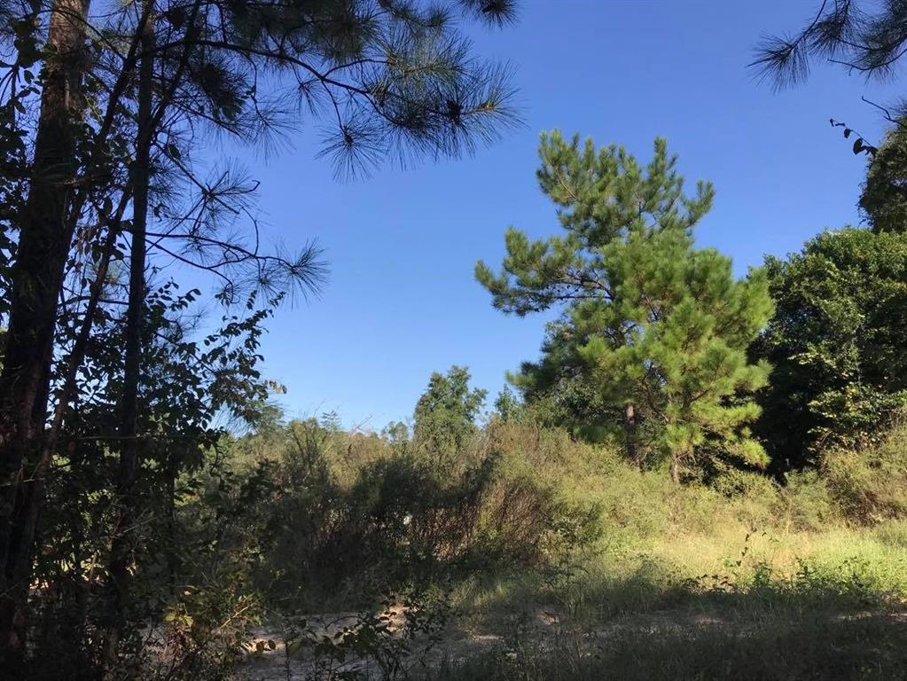 15861 Fm Hwy 1484, Conroe, Texas 77302, ,2 BathroomsBathrooms,Country Homes/acreage,For Sale,Fm Hwy 1484,56830941
