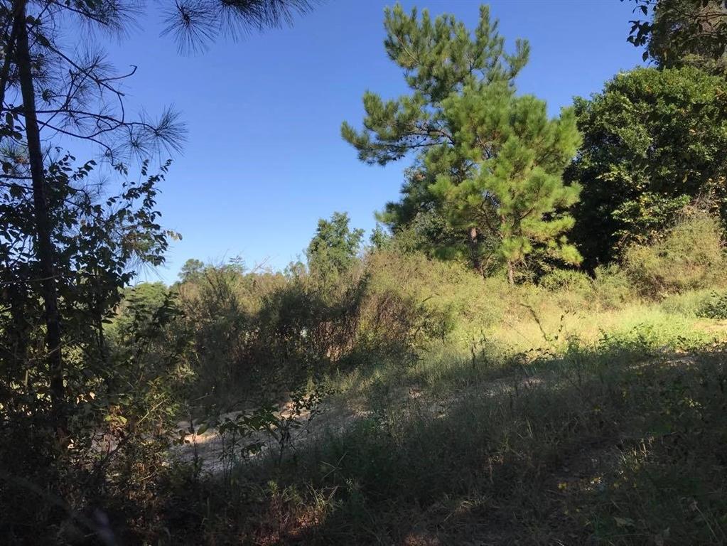 15861 Fm Hwy 1484, Conroe, Texas 77302, ,2 BathroomsBathrooms,Country Homes/acreage,For Sale,Fm Hwy 1484,56830941